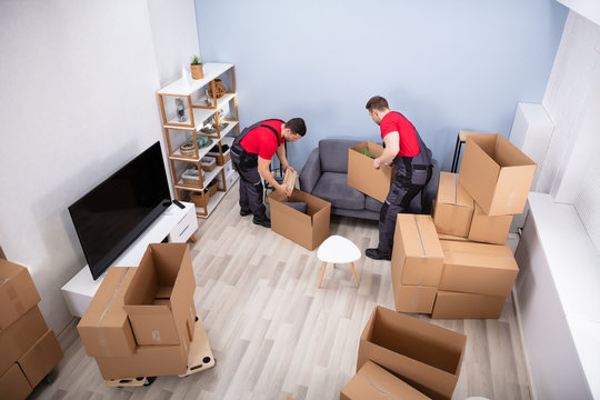 packers& movers01